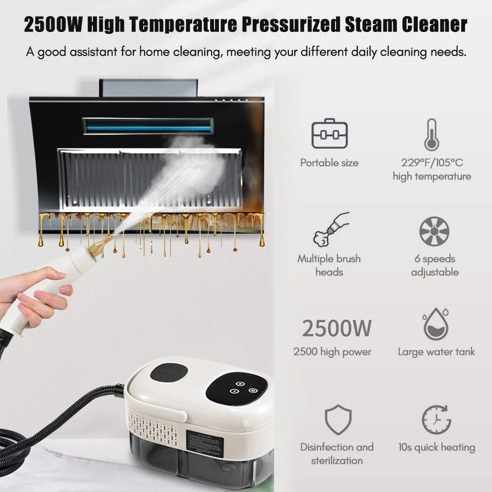 2500W Steam Cleaner High Temperature Pressurized Steam Cleaning Machine for Air Conditioning Hood Car Cleaner Home Appliance