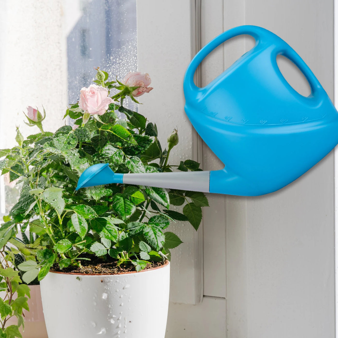 Watering Can Detachable Modern Long Spout for Gardening Bonsai Indoor Plants