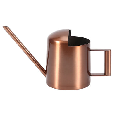 300ml Small Stainless Steel Watering Can Retro Plant Flower Long Spout Sprinkling Pot For Home Use