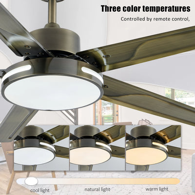 Modern LED Ceiling Fan With Light 52Inches DC Motor Reversible Blades Remote Control Led Fans Lamp With Lights