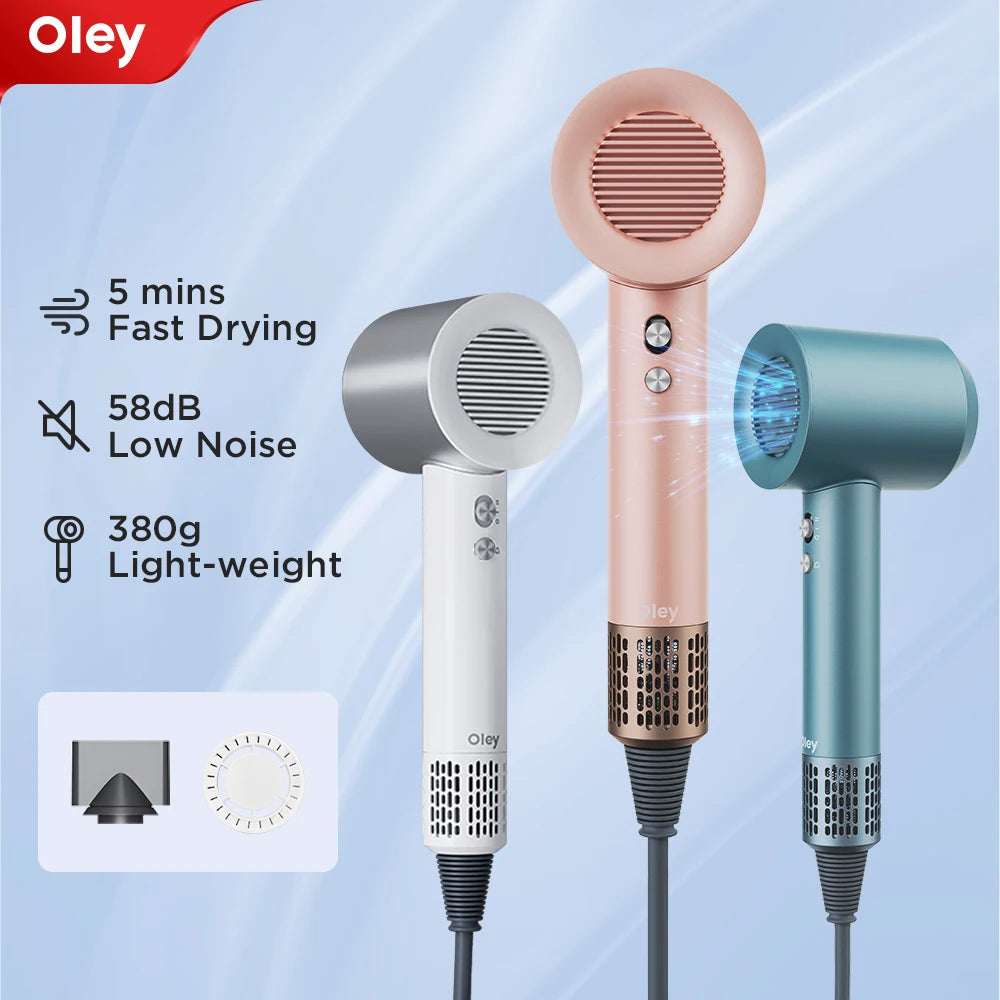 Oley High-speed Hair Dryer 900W Lightweight Powerful Brushless Motor Low Noise Quick Dryer Negative Ionic Blow Dryer