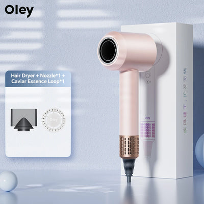 Oley High-speed Hair Dryer 900W Lightweight Powerful Brushless Motor Low Noise Quick Dryer Negative Ionic Blow Dryer