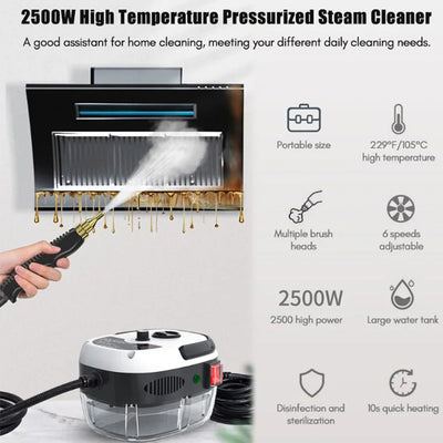 2500W Steam Cleaner High temperature Jet Washer Range Hood for Kitchen Air Conditioner Car Cleaning Machine 220V Home Appliances