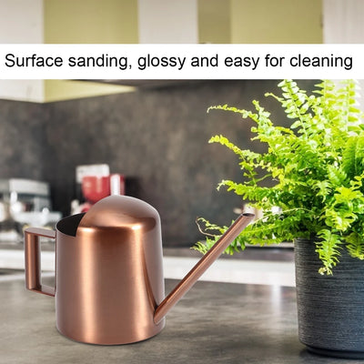 300ml Small Stainless Steel Watering Can Retro Plant Flower Long Spout Sprinkling Pot For Home Use