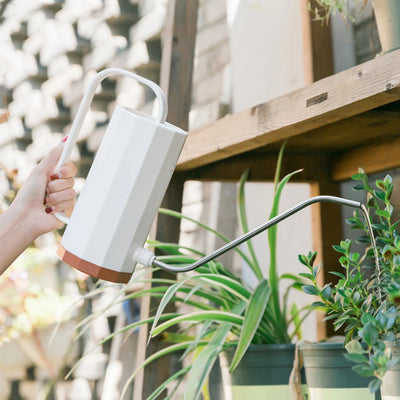 1000ml Flowers Watering Can Stainless Steel Curved Mouth Long Mouth Watering Can Household Removable Nozzle for Bonsai Succulent