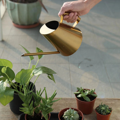 Stainless Steel Watering Can Long Mouth Nozzle Sprinkle Pot Garden Flowers Plants Watering Tool Home Garden Accessories