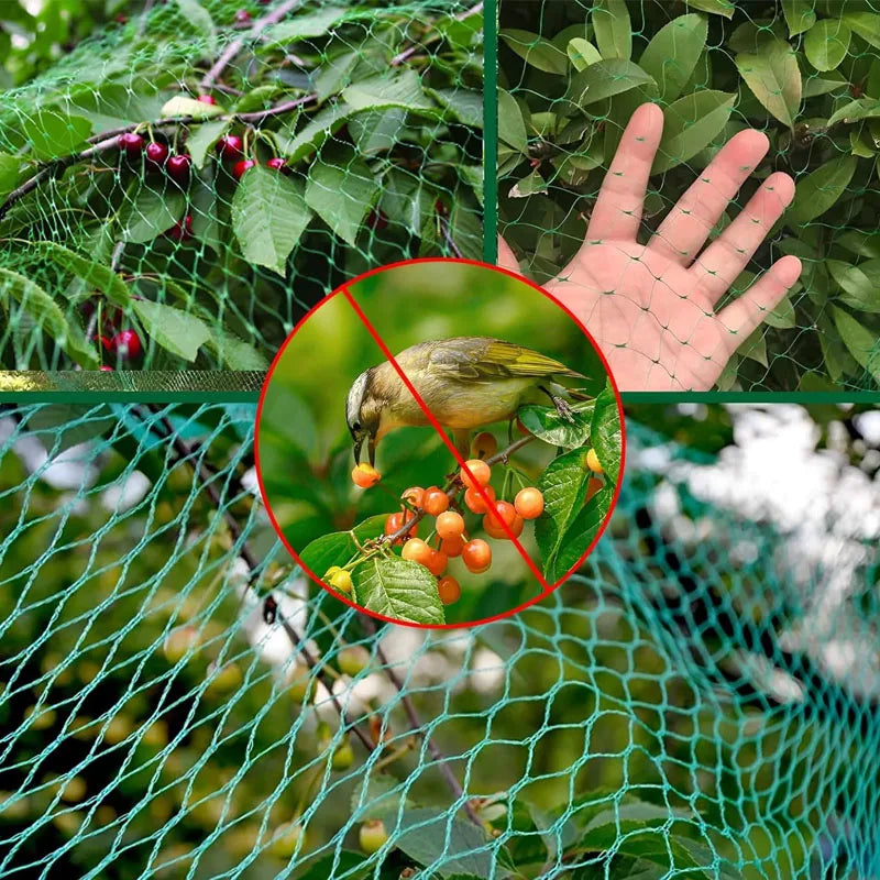 GreenAnti Bird Protection Net Mesh Garden Netting Protect Plants and Garden Outdoors Pest Barrier Protector Farm Poultry Fencing