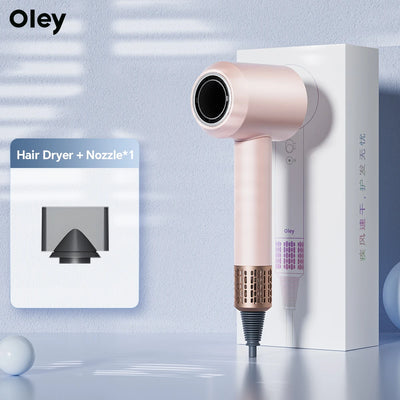 Oley High-speed Hair Dryer 900W Lightweight Powerful Brushless Motor Low Noise Quick Dryer Negative Ionic Blow Dryer