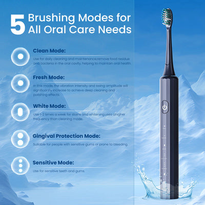 SEJOY Sonic Electric Toothbrush USB Rechargeable W/ 8 Duponts Brush Heads 5 Modes