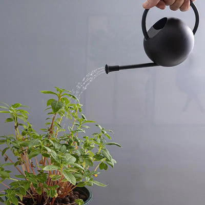 Long Spout Watering Can Watering Kettle Garden Small Watering Cans Indoor Stainless Steel Flower Water Can For Bonsai & Garden