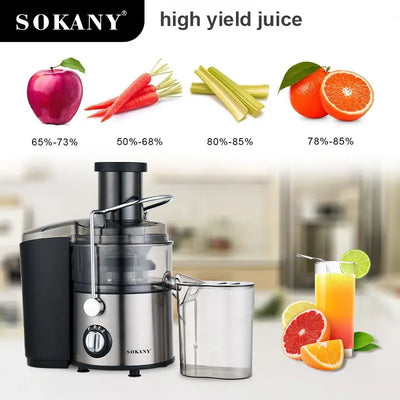 High Quality  4 In 1 Slow Juicers Extractor Machine 800w Strong Motor Blenders And Juicers Machine Orange Juicers