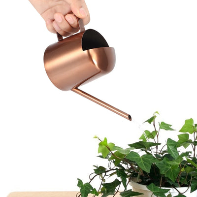 300ml Small Stainless Steel Watering Can Retro Plant Flower Long Spout Sprinkling Pot For Home Use