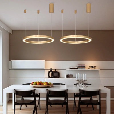 Gold Ring LED Hanging Lamp Acrylic Chandelier Modern Minimalist Style Pendant Light for Home Living Room Restaurant Decoration