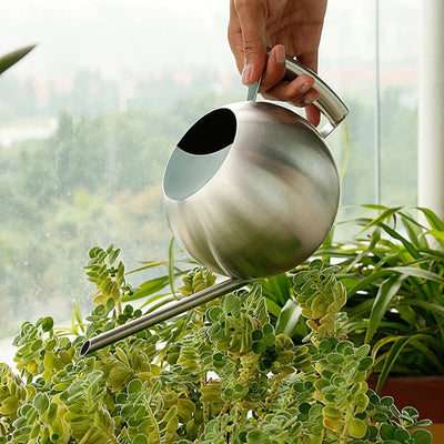 Stainless Steel Watering Pot Gardening Potted Small Watering Can With Handle For Watering Plants Flower Home Garden Tool